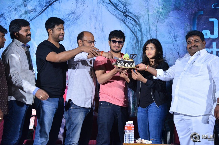 Ekkadiki-Pothavu-Chinnavada-Movie-Thanks-Meet